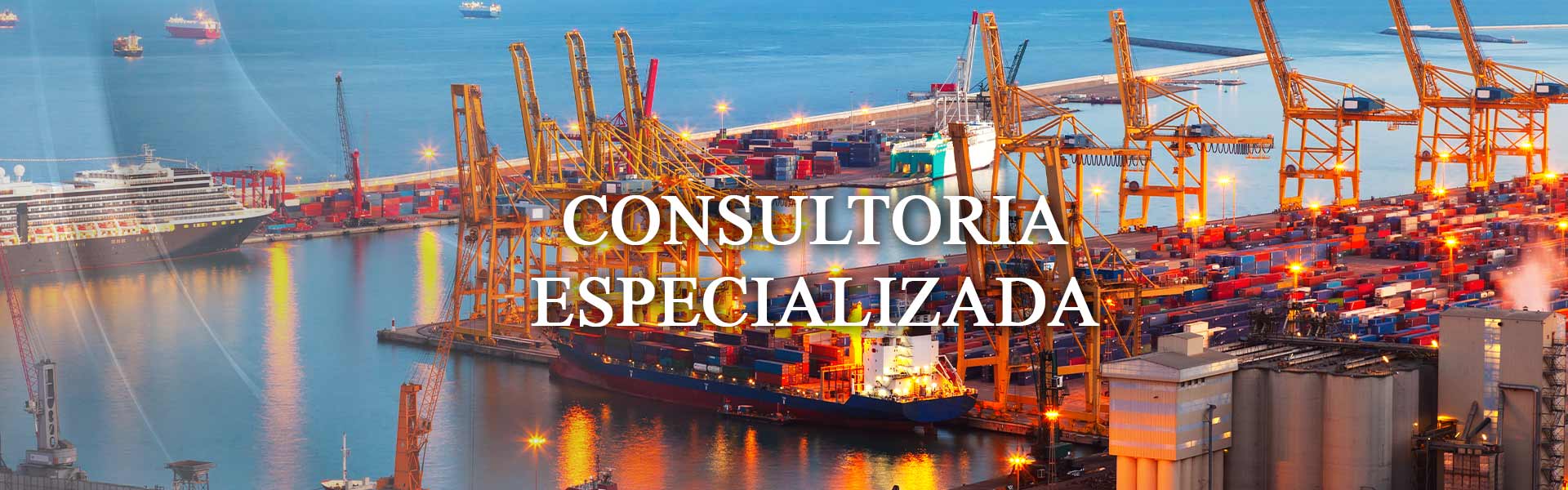 Consultoria Especializada